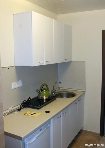 Свежая кухня в одной из комнат | Источник: МГУ / msu.ru