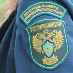 Заместитель директора коммерческой организации заключил трудовой договор с бывшим сотрудником Южно-Сибирского межрегионального управления Федеральной службы по надзору в сфере природопользования | Источник: www.city-n.ru