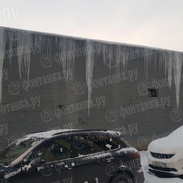 ЖК Next | Источник: читатель «Фонтанки»