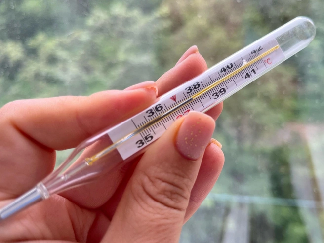 Вирус, активный в Москве, может распространиться на Нижегородскую область | Источник: Елена Буйвол / VLADIVOSTOK1.RU