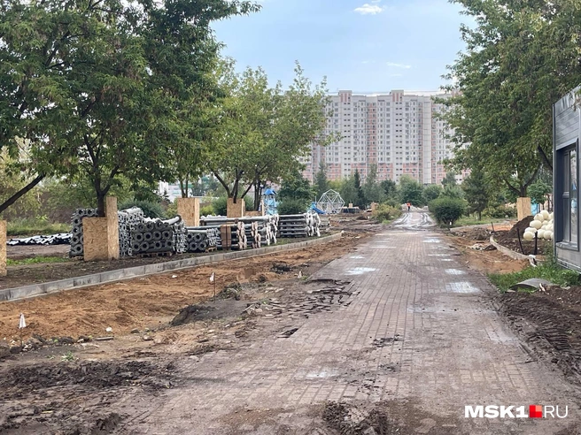 Не все жители Москвы довольны изменениями в парке имени Артема Боровика на юго-востоке Москвы | Источник: Платон Цимерман / MSK1.RU