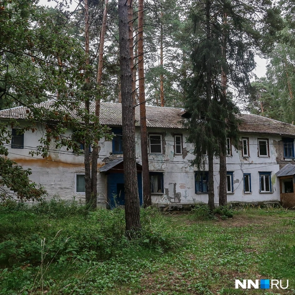 Источник: Наталья Бурухина / NN.RU
