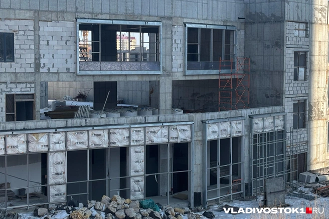 Житель Владивостока подал в суд на администрацию из-за постройки около ЛЭП | Источник: Елена Буйвол / VLADIVOSTOK1.RU