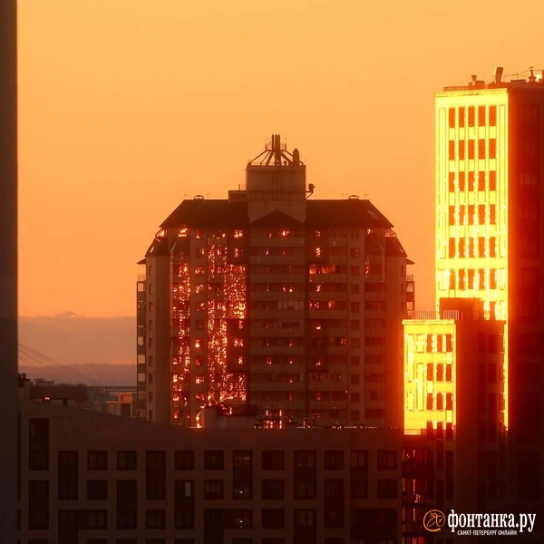 Источник: Дарья Драй / FONTANKA.RU