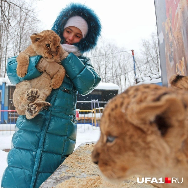 Источник: Тимур Шарипкулов / UFA1.RU