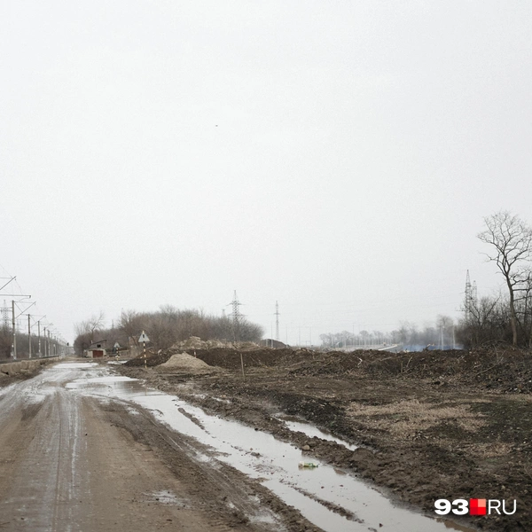 Источник: Дарья Паращенко / 93.RU