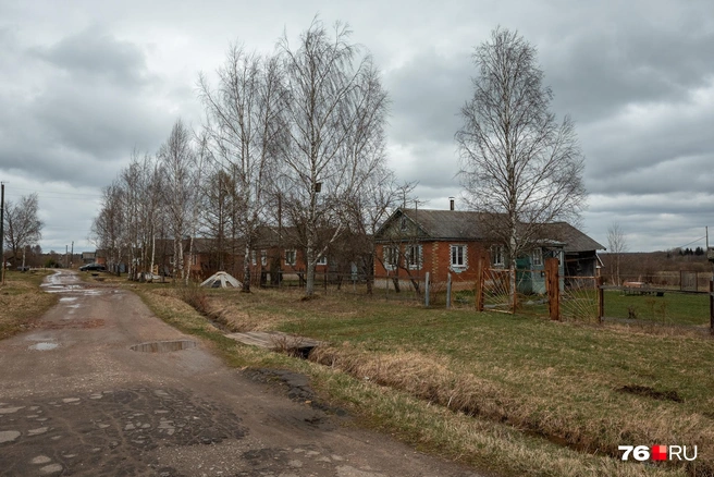 Дворы в этой части деревни выглядят аккуратно и ухоженно | Источник: Александр Куренной / 76.RU