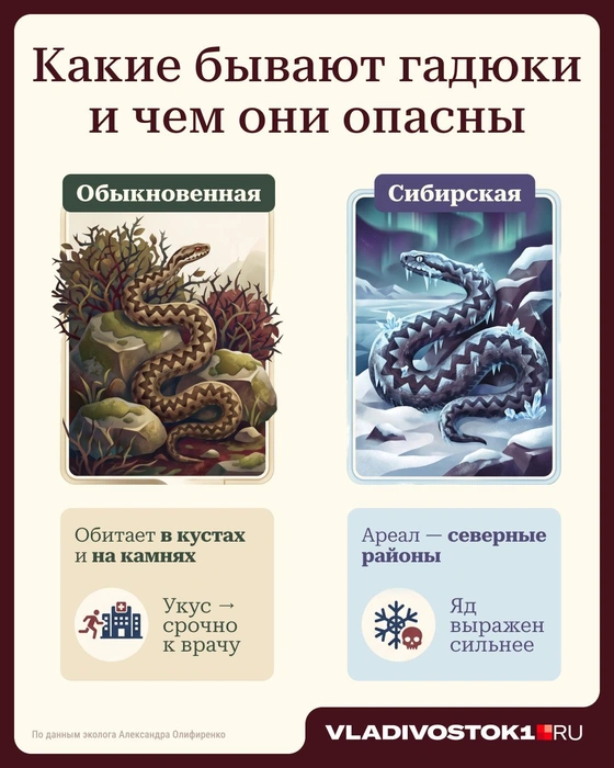 Источник: Серафима Пантыкина / Городские медиа