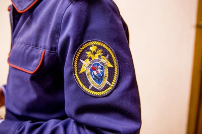 Петербургский крематорий для животных стал объектом уголовного дела