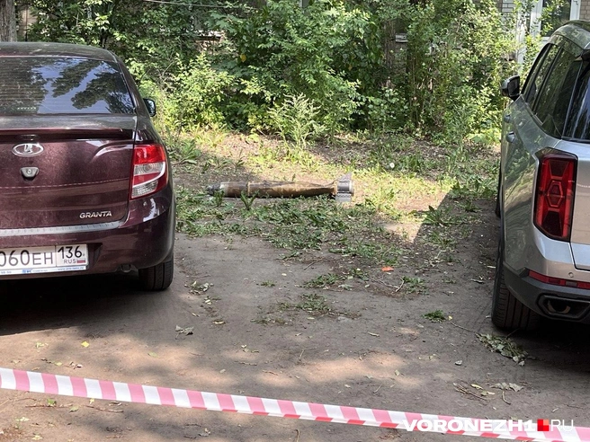 Предмет лежал между машинами | Источник: Полина Листопад / Voronezh1.ru