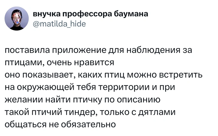 Источник: X (Twitter)