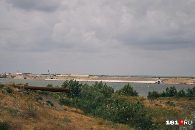 Источник: Артем Марьенко / 161.RU