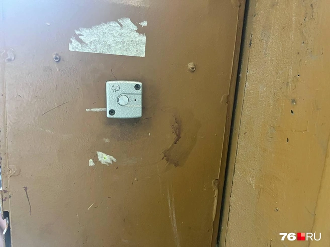 Полицейским соседи отказались давать показания, ссылаясь на то, что ничего не слышали и не знают | Источник: Кристина Геворкян