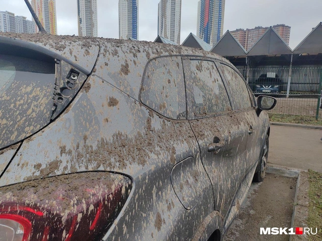 Источник: Михаил Мечев / MSK1.RU