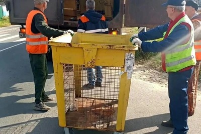 На Бору отказались от контейнеров для раздельного сбора