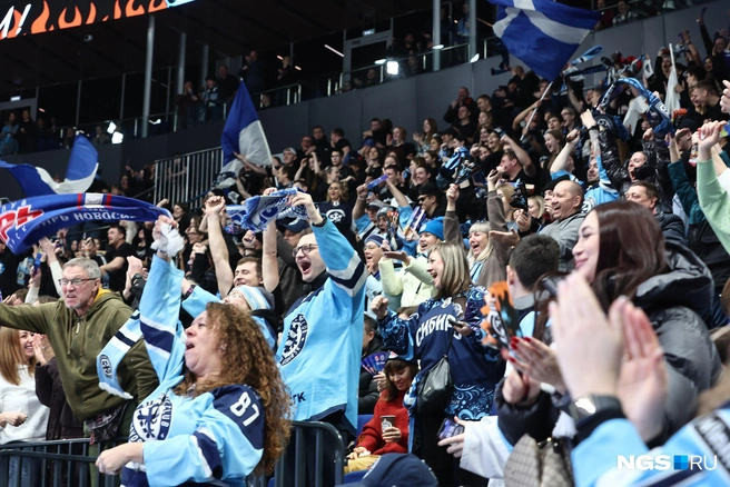 Стадион ликовал после заброшенной шайбы Скотта Уилсона | Источник: Александр Ощепков / NGS.RU