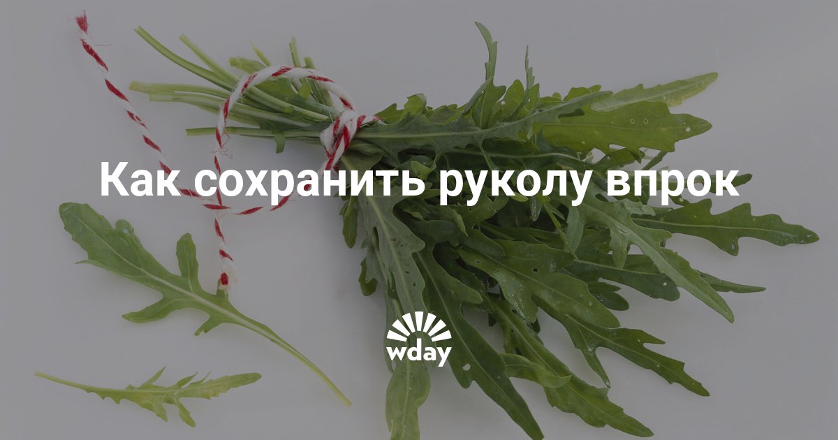 Можно замораживать рукколу на зиму. Руккола заморозка. Замороженная руккола. Как хранить руккола в холодильнике. Рукколу заморозить.