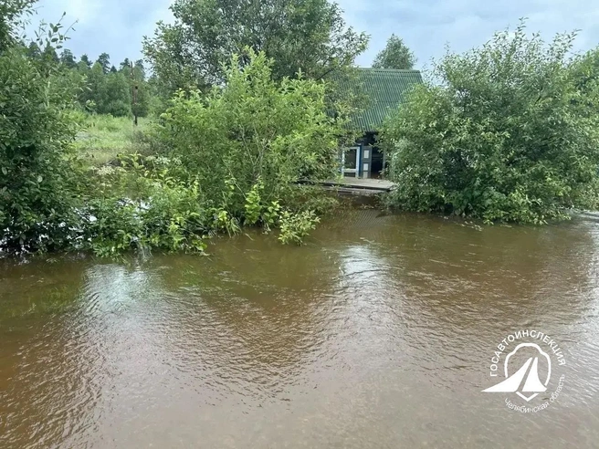 Источник: ГАИ Челябинской области 
