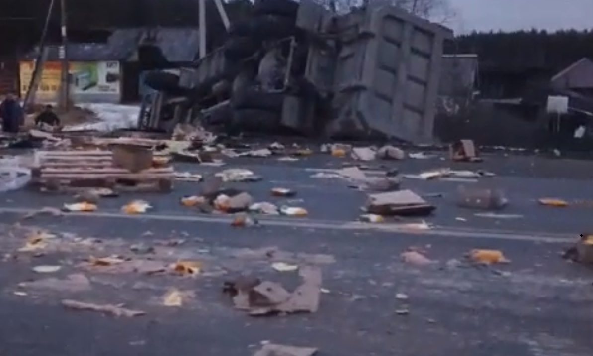 ДТП с курами в Асбесте: птицы разбросаны по дороге