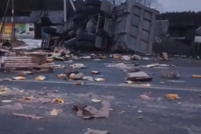 Куриный дождь на Урале: авария разбросала тушки по трассе