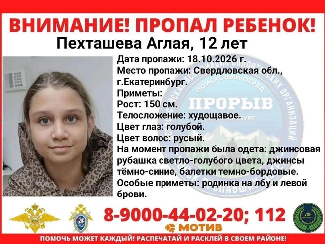 Аглая пропала 18 октября | Источник: поисковой отряд «Прорыв»