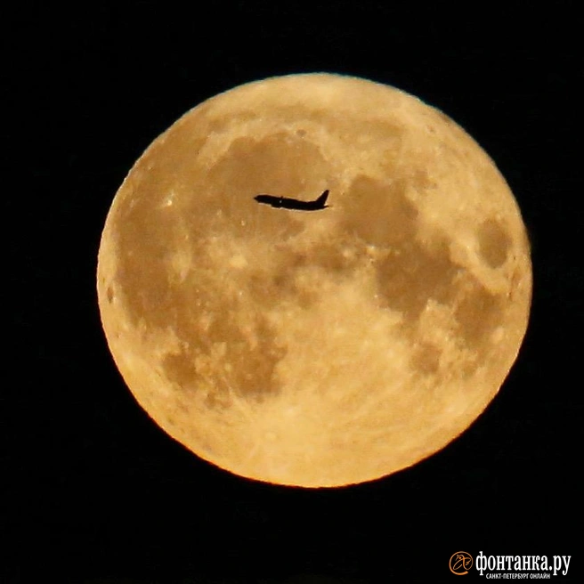 Неспокойная ночь | Источник: Сергей Михайличенко / FONTANKA.RU