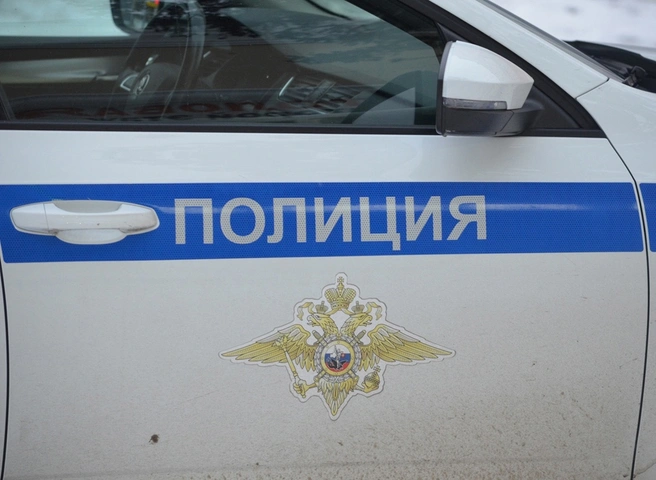 На трассе в Ряжском районе остановили иномарку с 3 кг наркотиков | ya62.ru