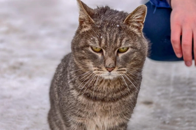 Погода в Башкирии перед длинными выходными