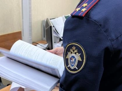 Источник: lipetsk.sledcom.ru
