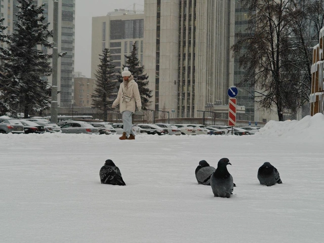 В ряде районов города интенсивность осадков была заметно ниже. | Источник: Даниил Румянцев / E1.RU