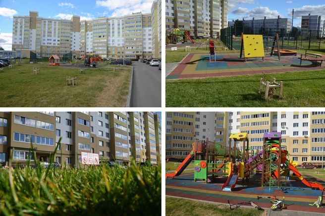 новостройка на Птицеводов