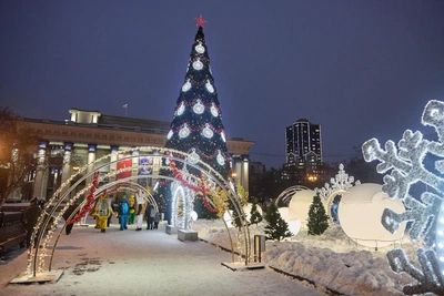 В Новосибирске планируют запретить алкоголь на праздниках