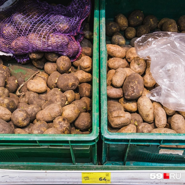 Обычная картошка по 65 рублей | Источник: Тимофей Калмаков / 59.RU