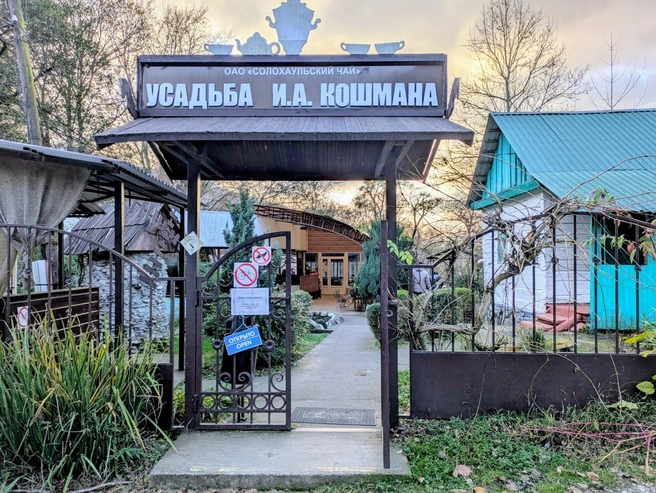 Территория большая, даже если будет многолюдно, всё равно можно найти уединение | Источник: Оксана Витязь / SOCHI1.RU