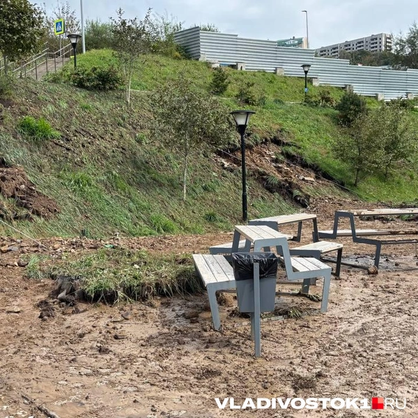 Источник: Елена Буйвол / VLADIVOSTOK1.RU