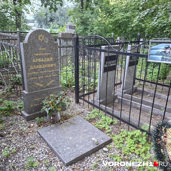 Источник: Алёна Воропаева / Voronezh1.ru