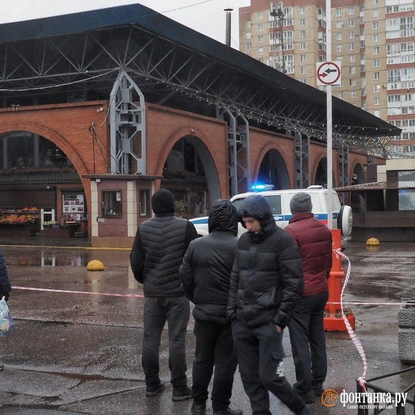 Источник: Михаил Огнев / FONTANKA.RU