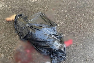 В Самаре собаку убили и сбросили с балкона