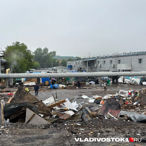 Источник: Елена Буйвол / VLADIVOSTOK1.RU