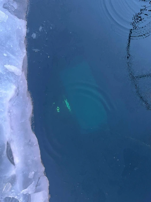 Источник: издание IrCity