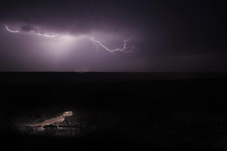 «Навстречу буре» | Источник: Пратик Прадхан (Индия)