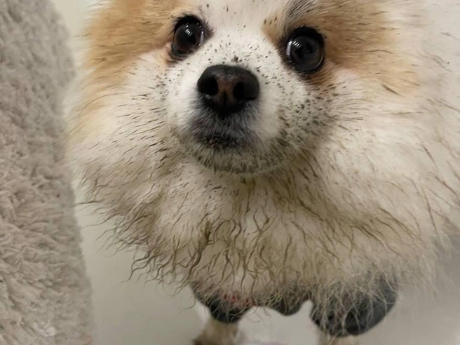 Источник: читательница E1.RU Марина