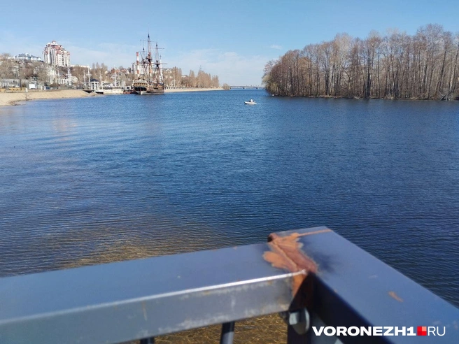 Источник: Дмитрий Волгин / Voronezh1.ru