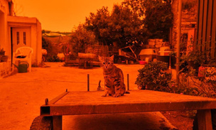 Греция стали оранжевой: что за стихия своевольно раскрасила страну?