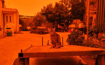 Греция стала оранжевой: что за стихия своевольно раскрасила страну?