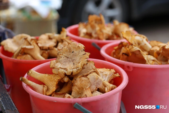 Вот и все | Источник: Евгений Софийчук / NGS55.RU