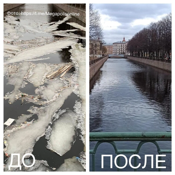 Источник: комитет по природопользованию Петербурга