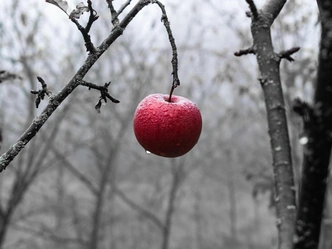 Тест: Какой смертный грех опаснее всего для вас? | Источник: Unsplash