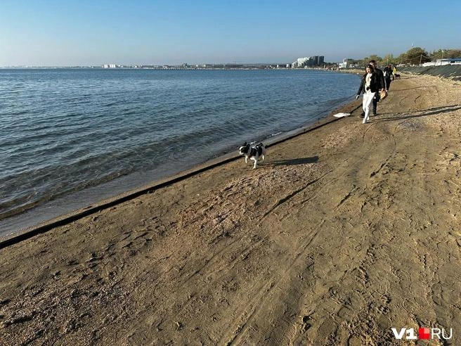 Формального запрета на прогулки вдоль моря нет | Источник: Арина Рязанова / V1.RU