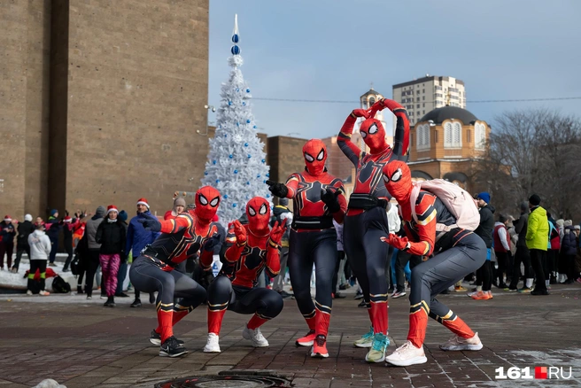 Целая банда пауков | Источник: Евгений Вдовин / 161.RU